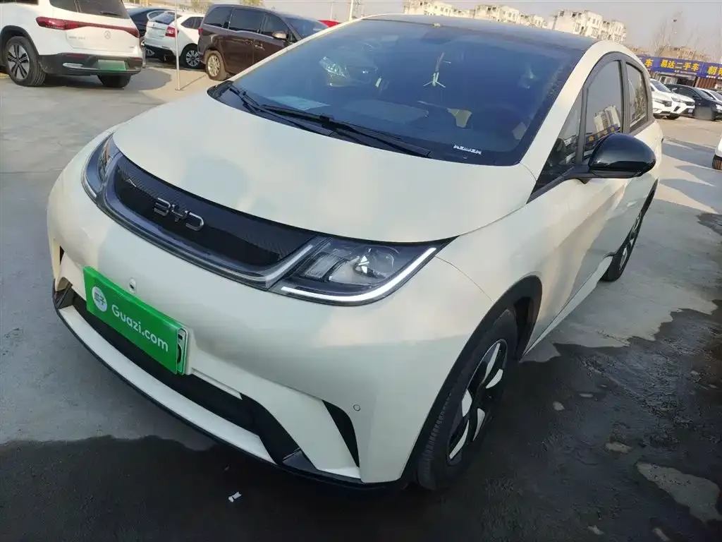 BYD Dolphin 2024 из CN, фото 1