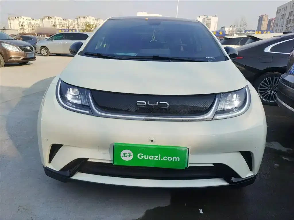 BYD Dolphin 2024 из CN, фото 3
