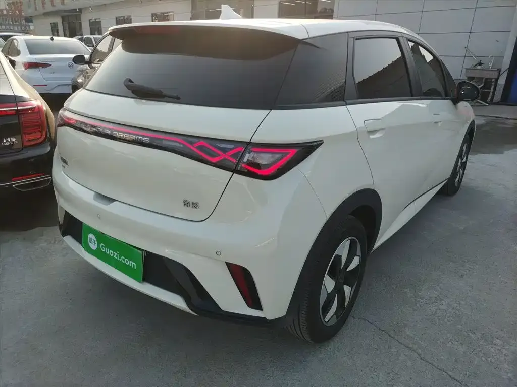 BYD Dolphin 2024 из CN, фото 7