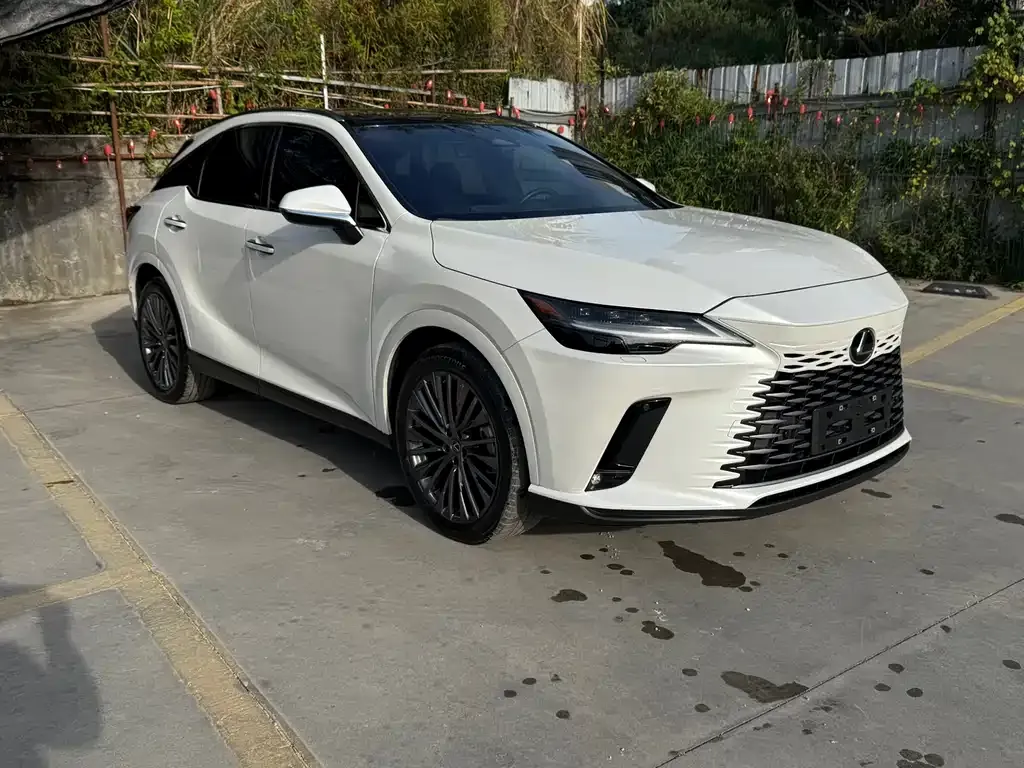 Lexus RX 2024 из CN, фото 2