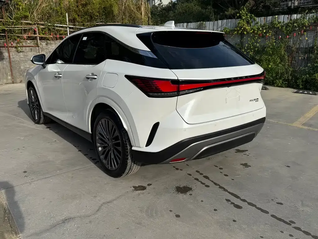 Lexus RX 2024 из CN, фото 3