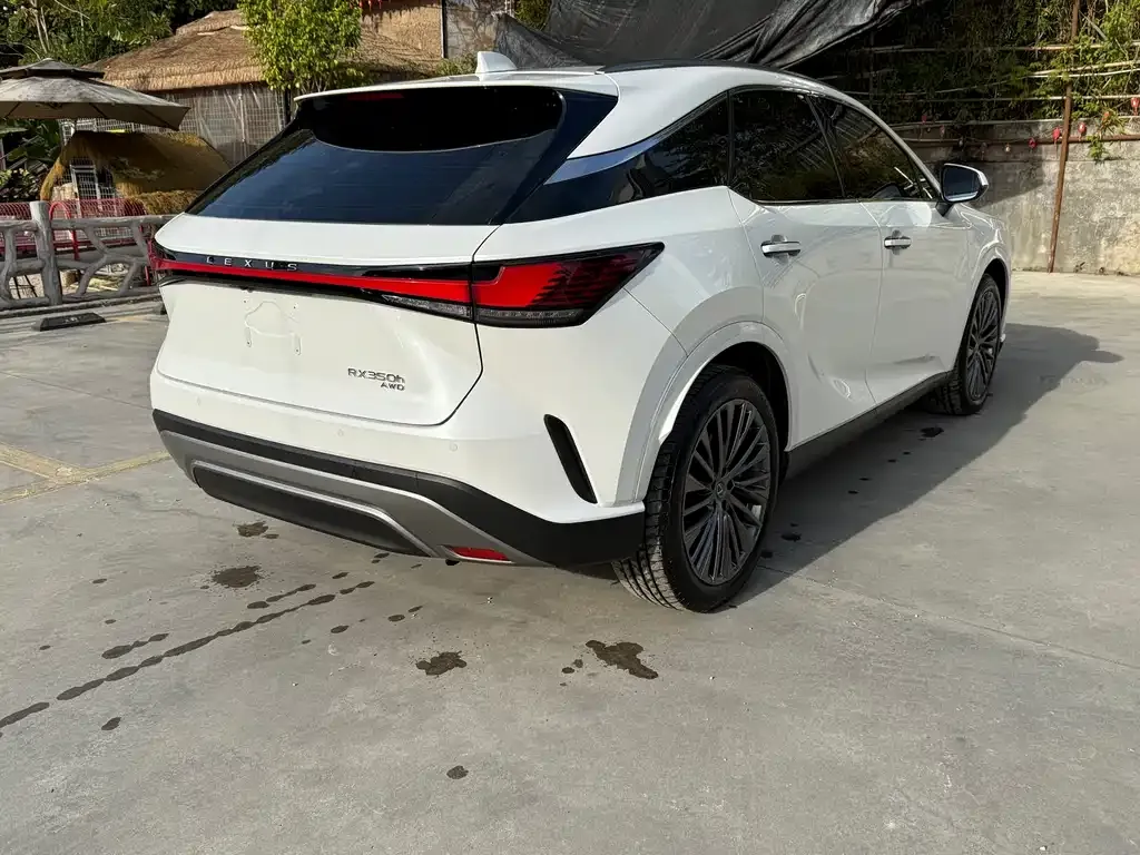 Lexus RX 2024 из CN, фото 4