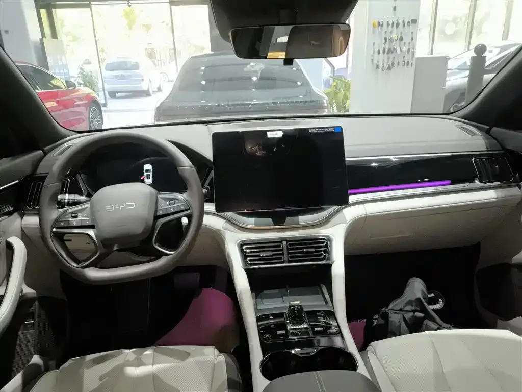 BYD PLUS New Energy — фото 10