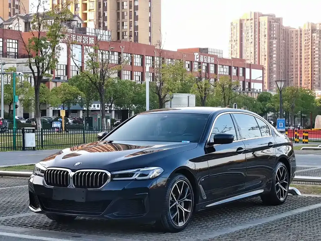 BMW 5 Series 2021 из CN, фото 1
