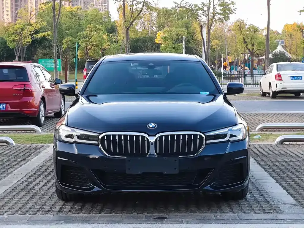BMW 5 Series 2021 из CN, фото 2