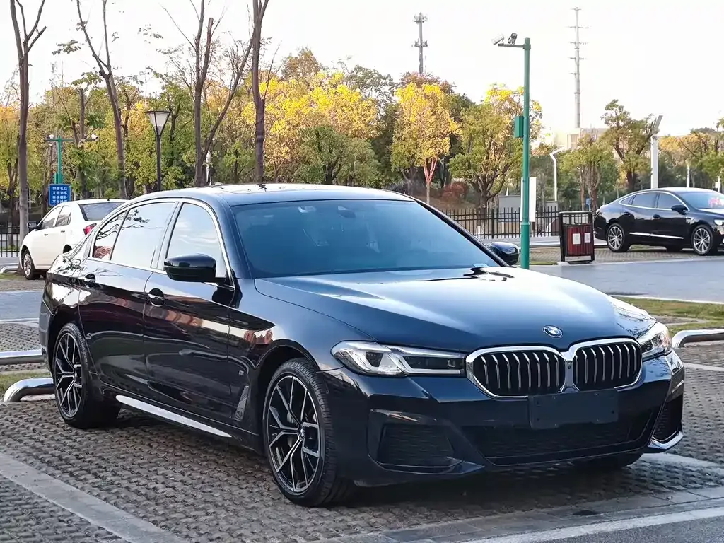 BMW 5 Series 2021 из CN, фото 3