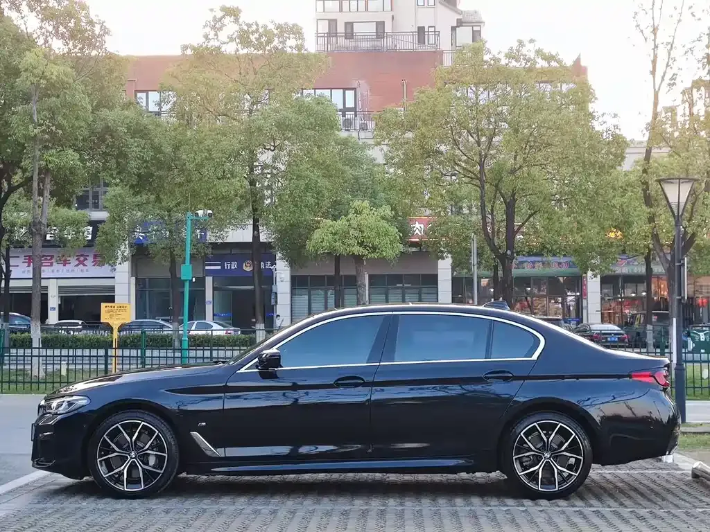 BMW 5 Series 2021 из CN, фото 6