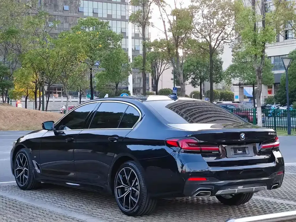 BMW 5 Series 2021 из CN, фото 7