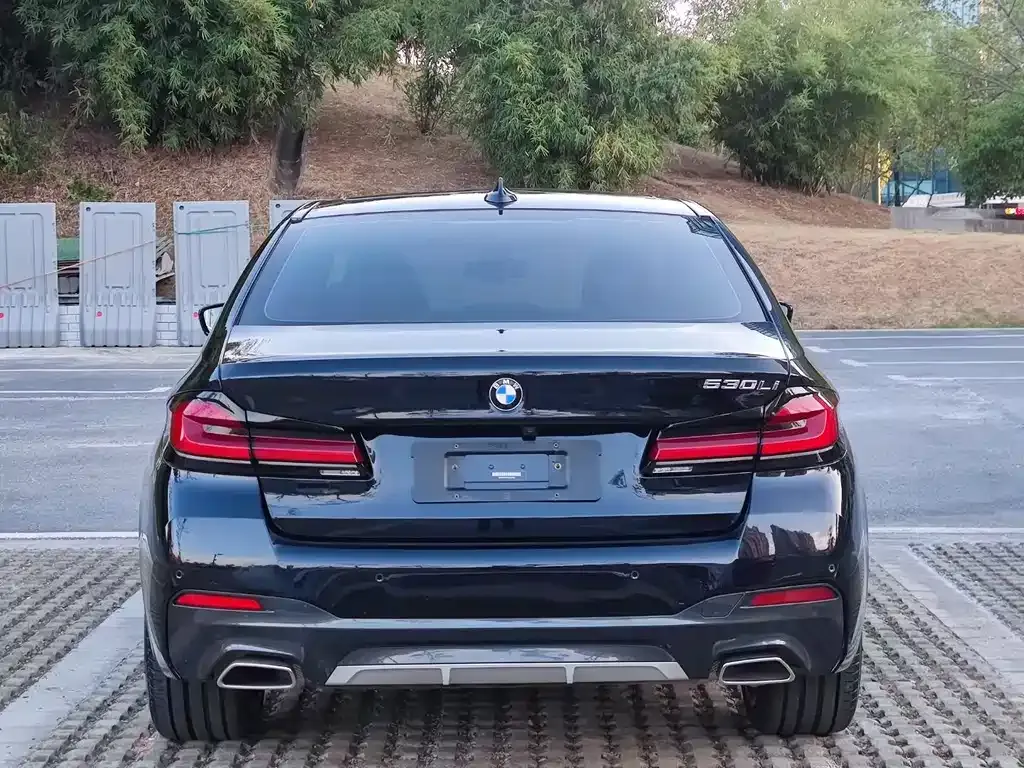 BMW 5 Series 2021 из CN, фото 8