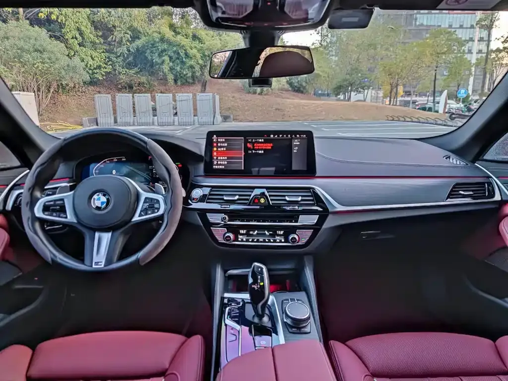 BMW 5 Series 2021 из CN, фото 9