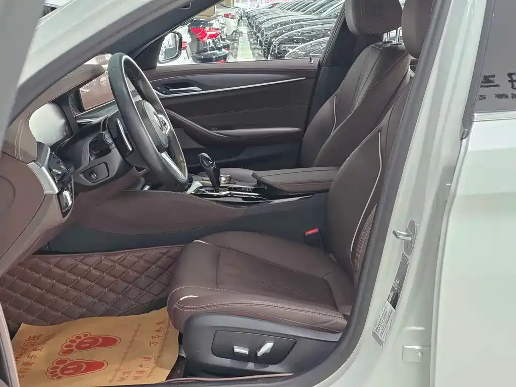 BMW 5 Series 2023 из CN, фото 6