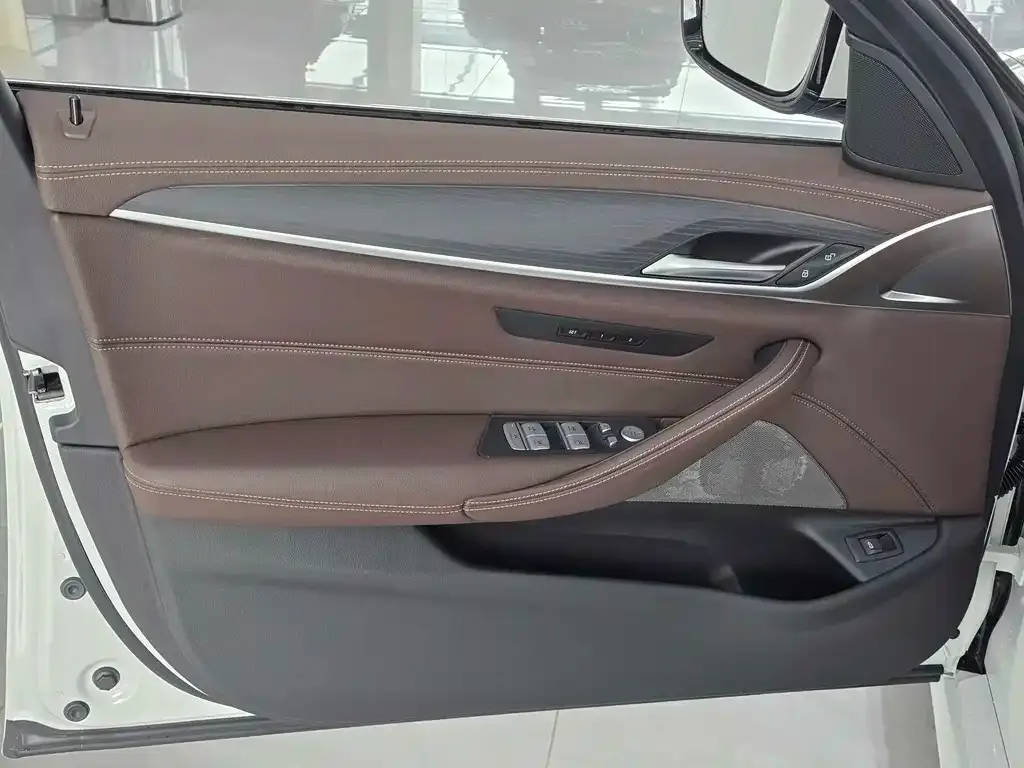 BMW 5 Series 2023 из CN, фото 8