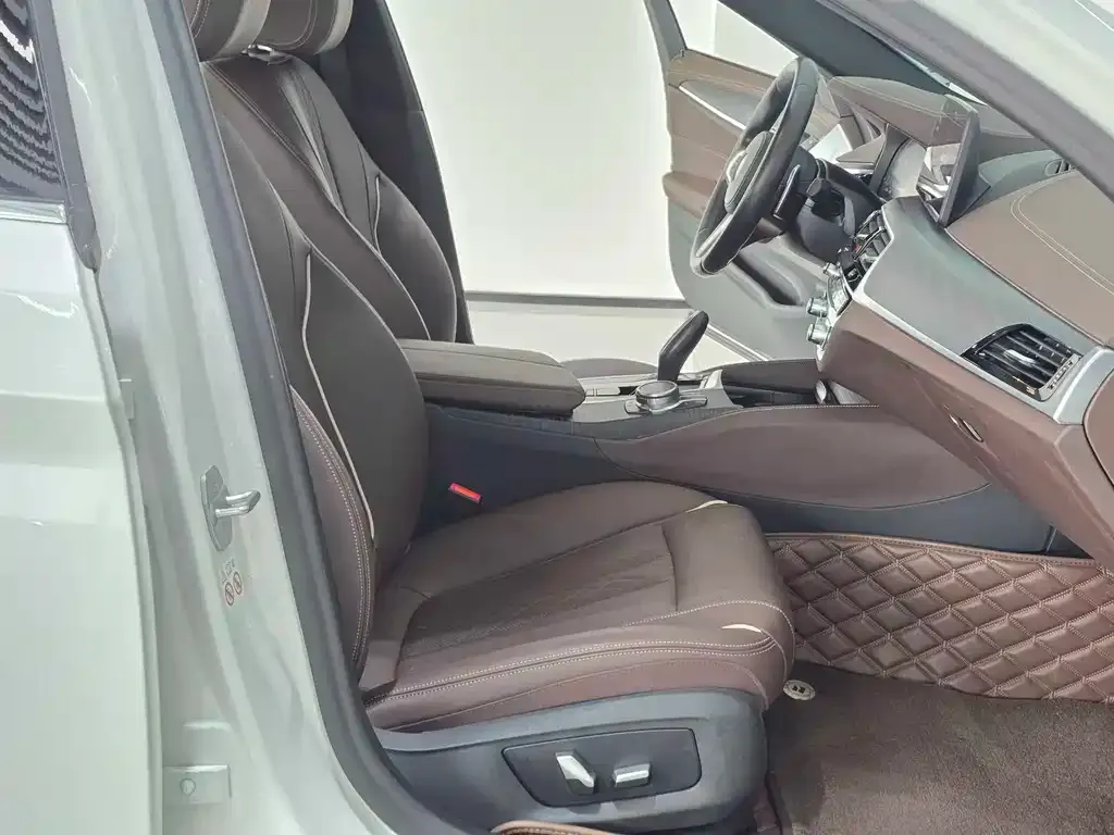 BMW 5 Series 2023 из CN, фото 9