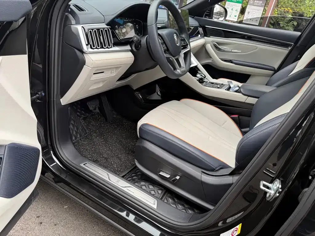 BYD PLUS New Energy 2022 из CN, фото 4