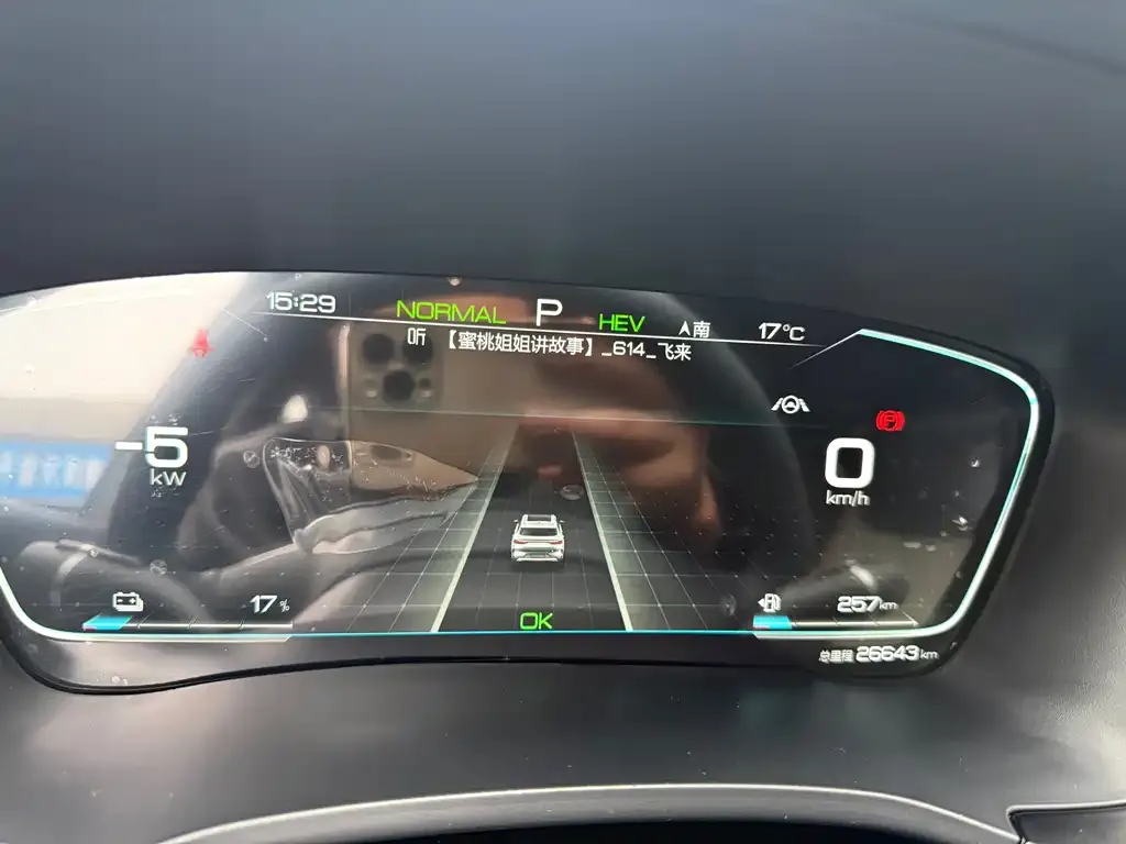 BYD PLUS New Energy 2022 из CN, фото 6