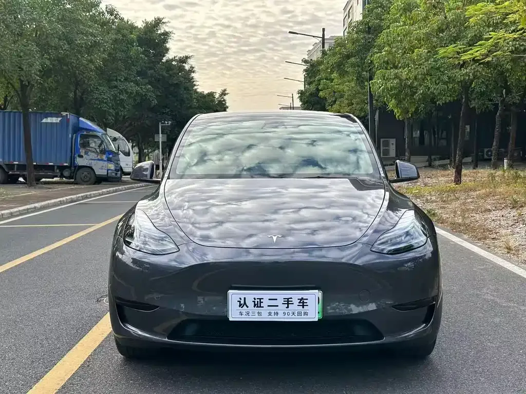Tesla Model Y 2022 из CN, фото 2
