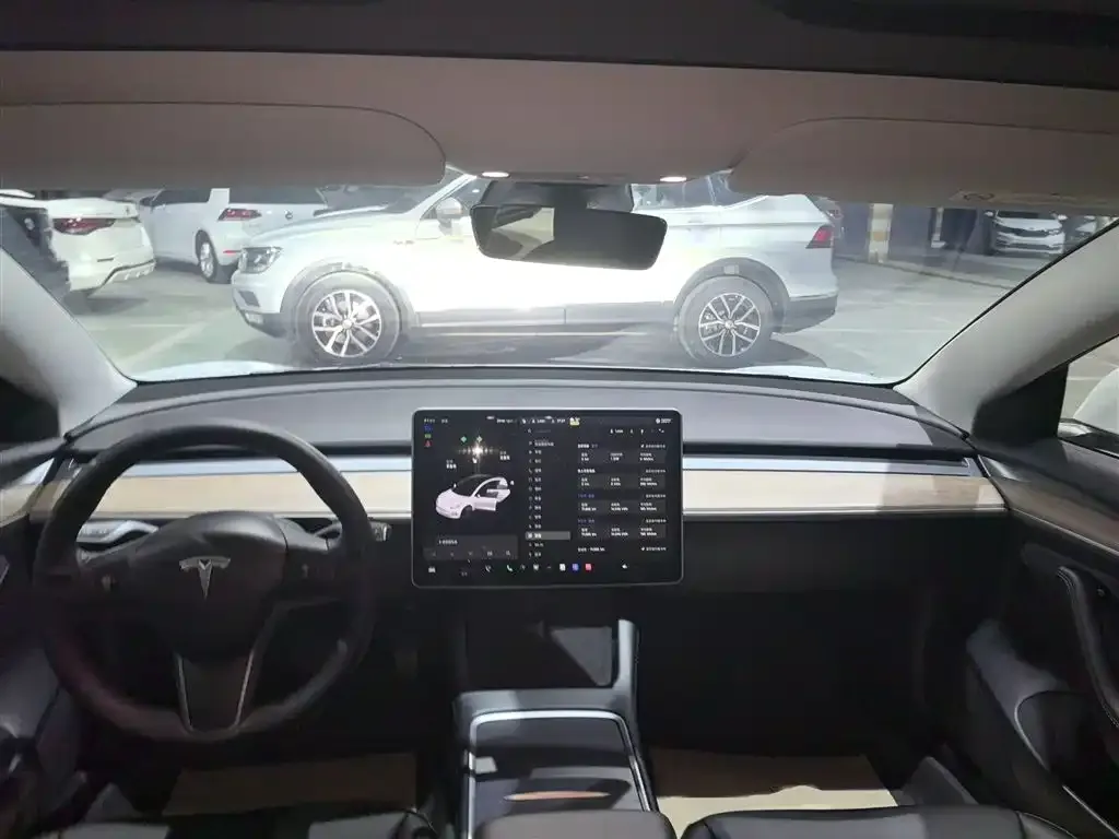 Tesla Model 3 2021 из CN, фото 10