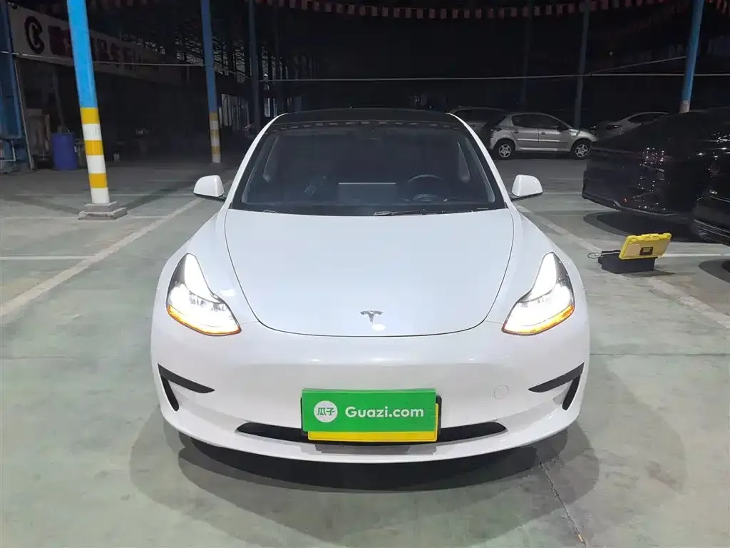Tesla Model 3 2021 из CN, фото 3