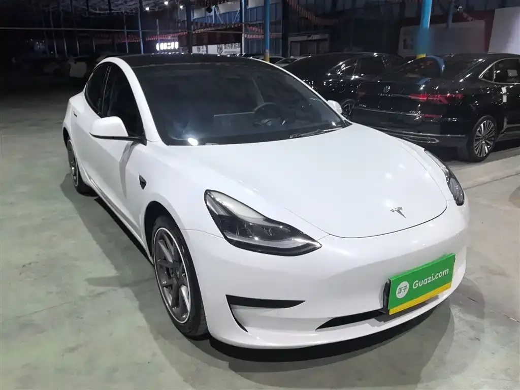 Tesla Model 3 2021 из CN, фото 4