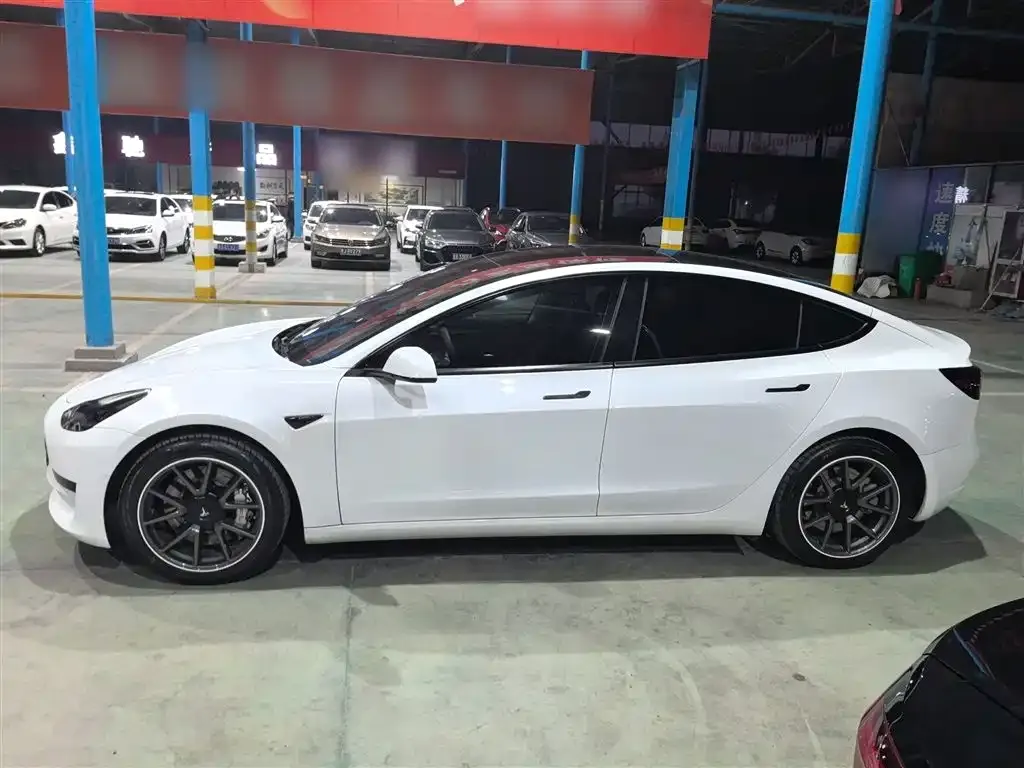 Tesla Model 3 2021 из CN, фото 5