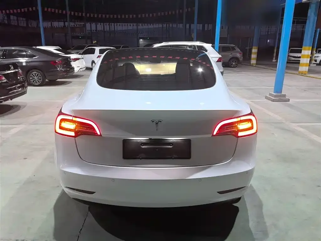 Tesla Model 3 2021 из CN, фото 6