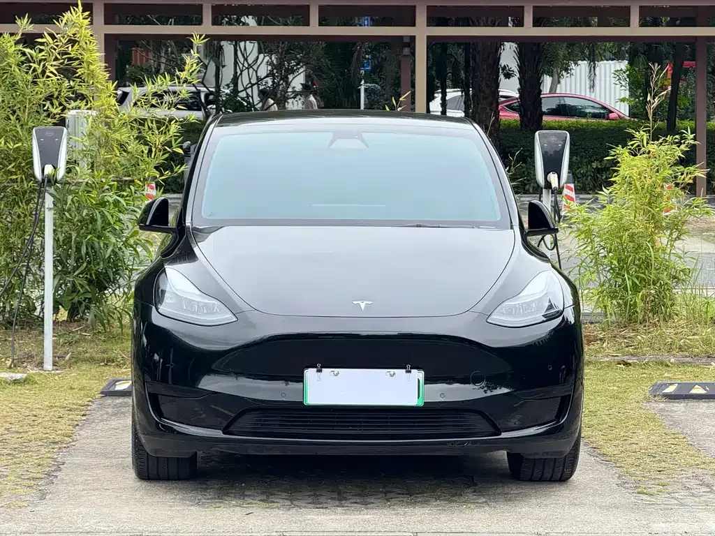 Tesla Model Y — фото 1