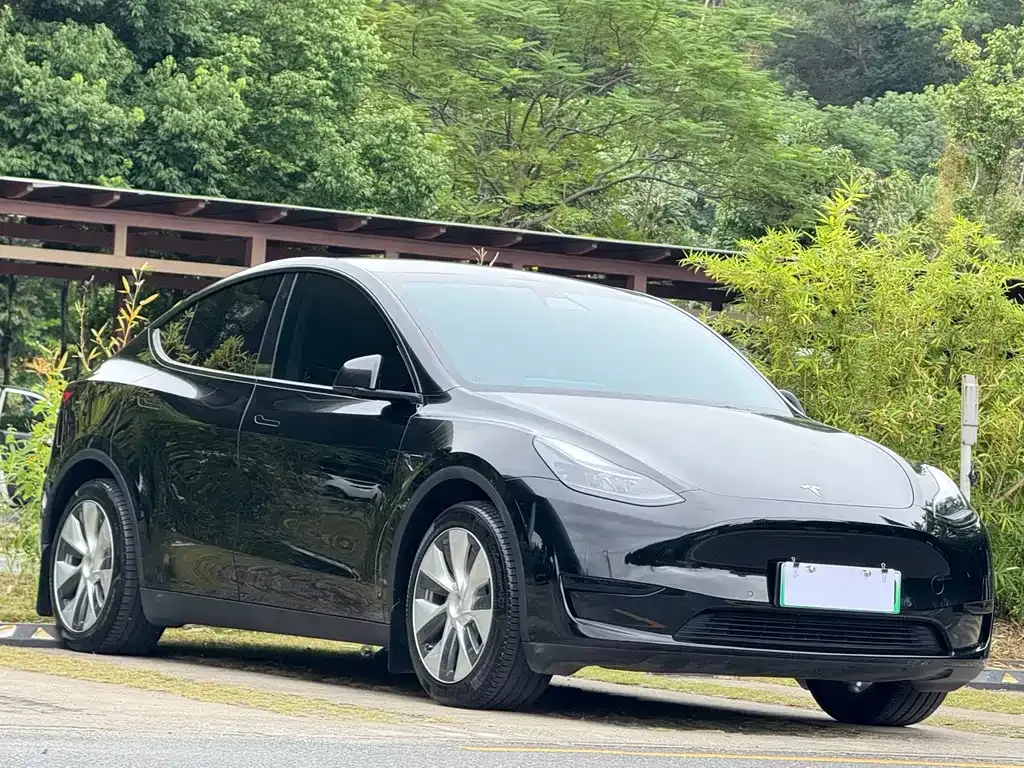 Tesla Model Y — фото 2