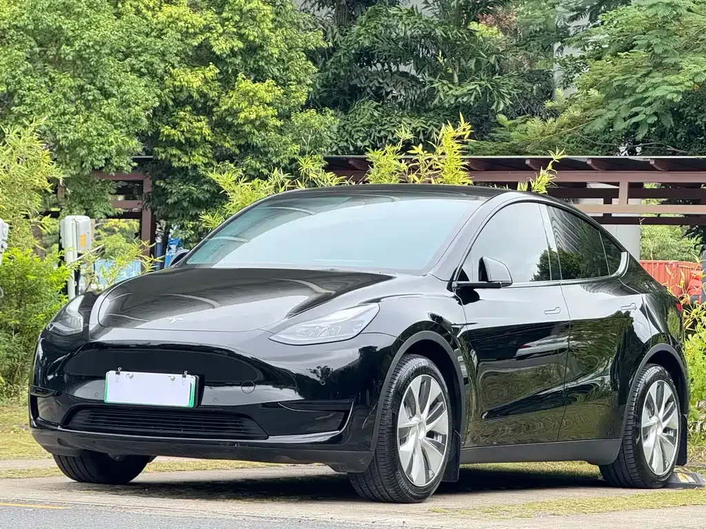 Tesla Model Y — фото 3
