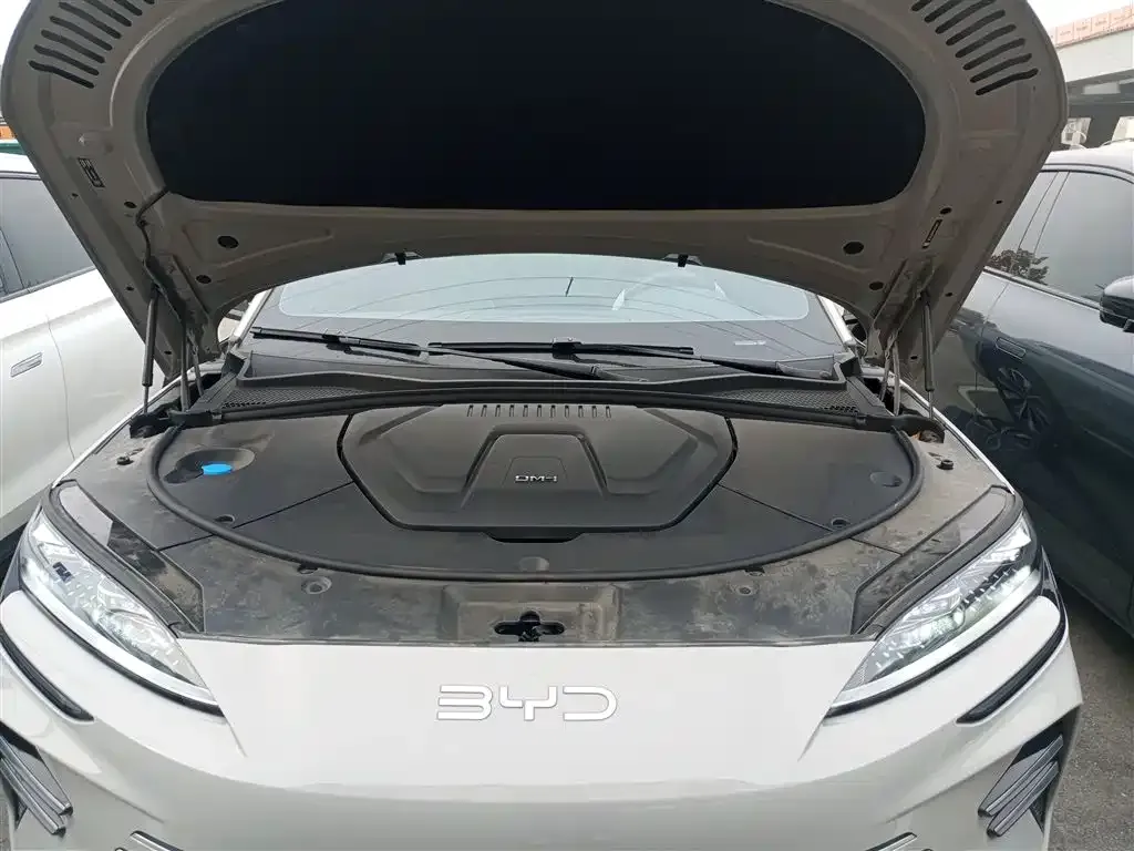 BYD PLUS New Energy 2024 из CN, фото 10