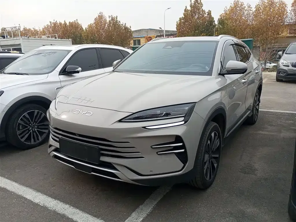 BYD PLUS New Energy 2024 из CN, фото 2