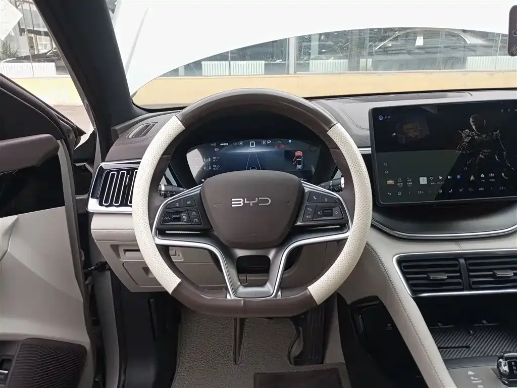 BYD PLUS New Energy 2024 из CN, фото 3