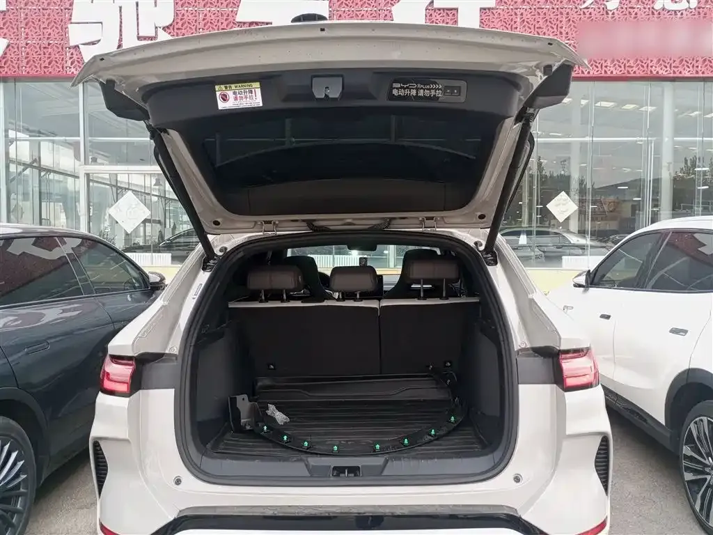 BYD PLUS New Energy 2024 из CN, фото 9