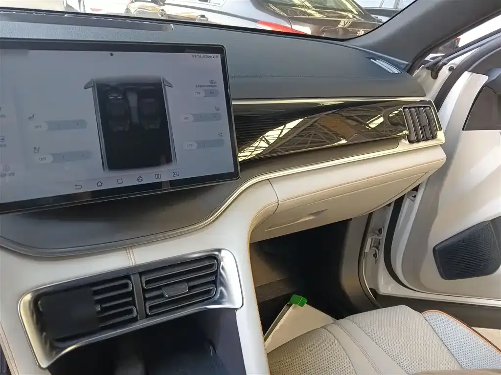 BYD PLUS New Energy 2023 из CN, фото 10