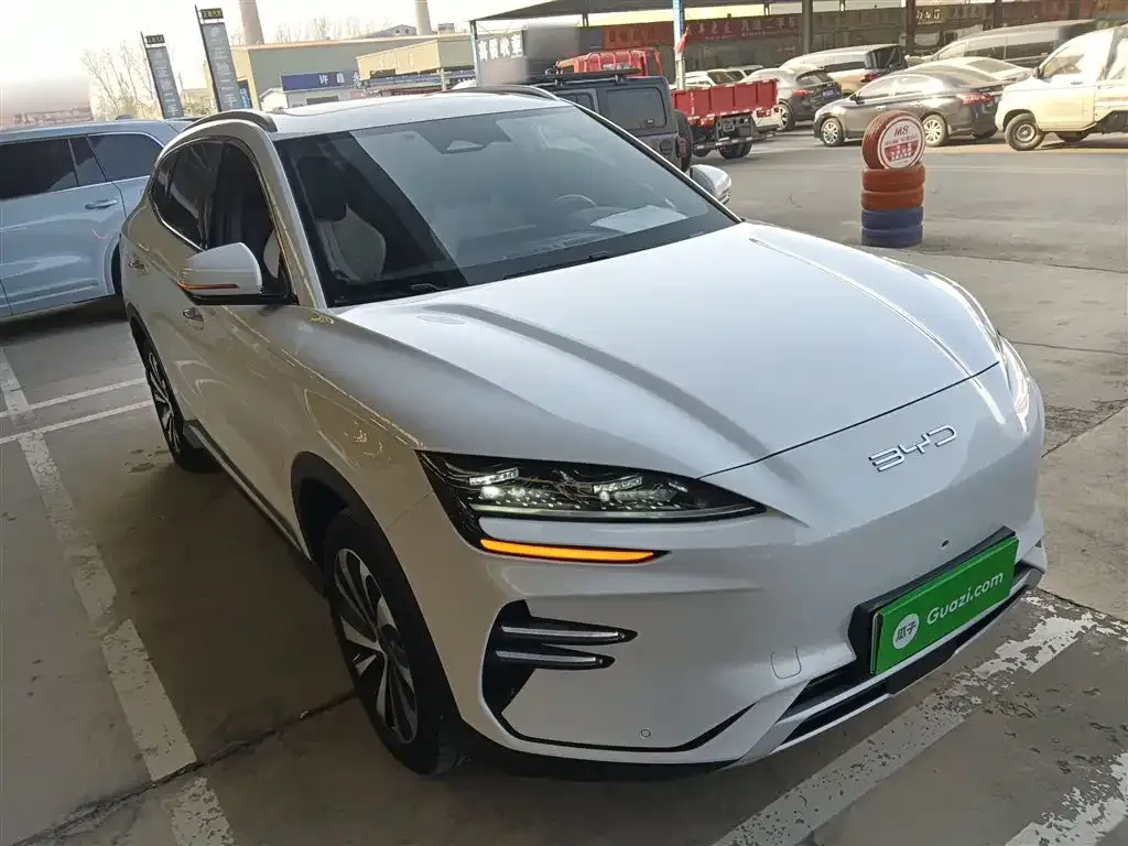 BYD PLUS New Energy 2023 из CN, фото 4