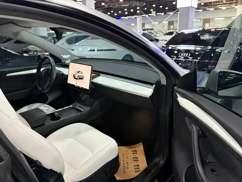 Tesla Model Y — фото 10