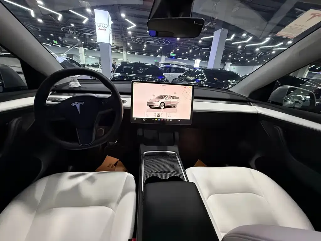 Tesla Model Y — фото 8