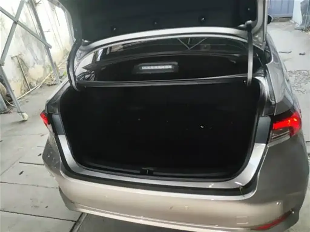 Toyota Corolla 2021 из CN, фото 9
