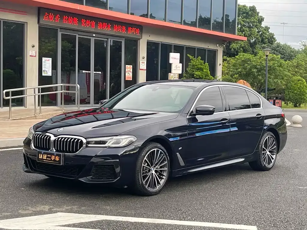 BMW 5 Series 2021 из CN, фото 1