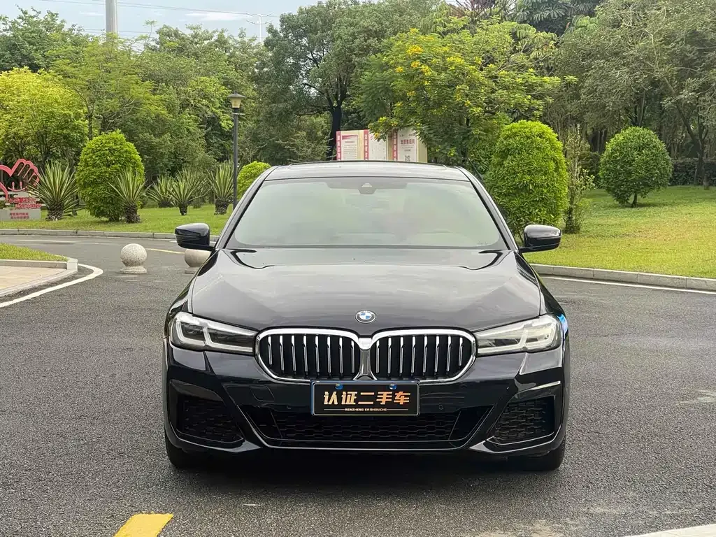 BMW 5 Series 2021 из CN, фото 2
