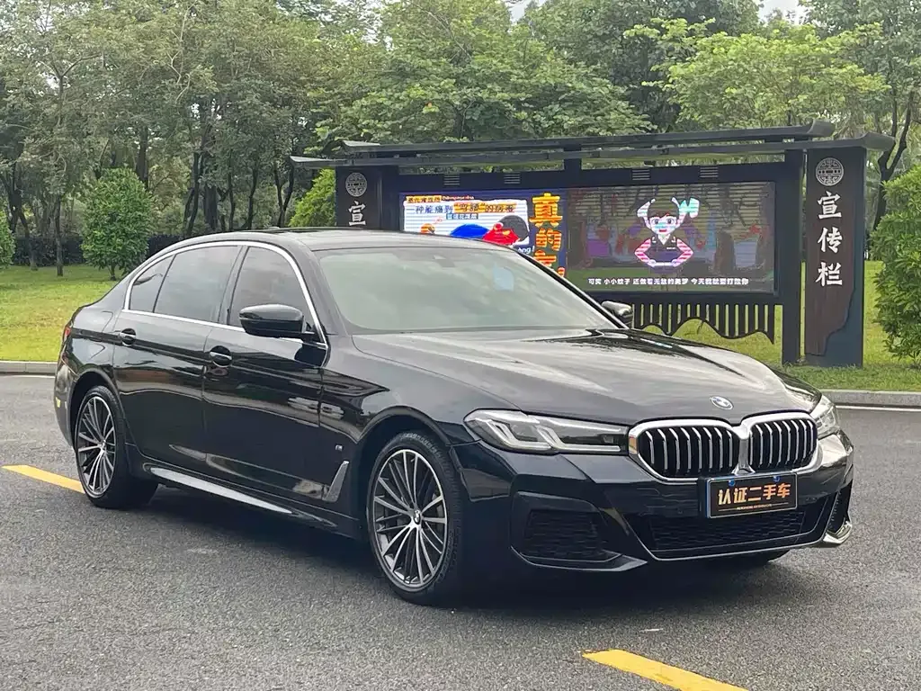 BMW 5 Series 2021 из CN, фото 3