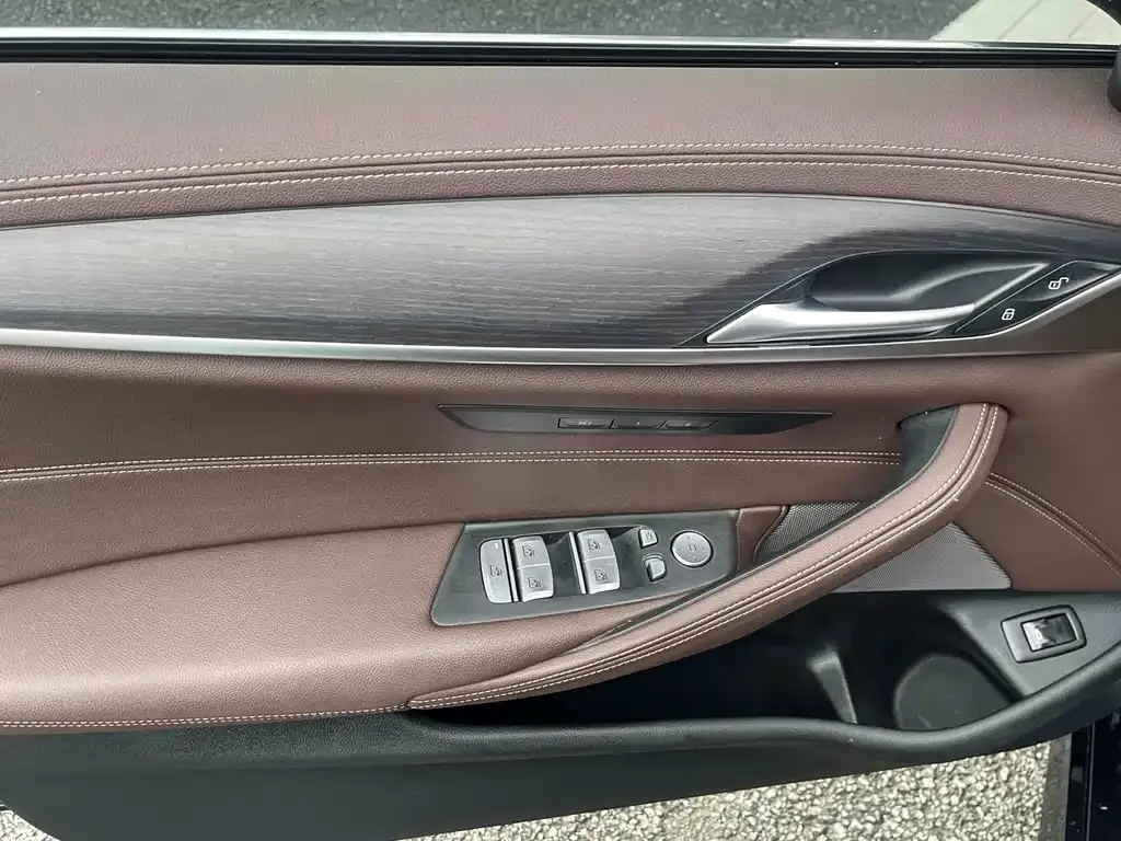 BMW 5 Series 2021 из CN, фото 6