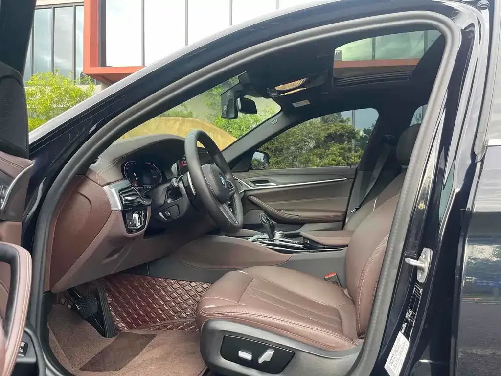 BMW 5 Series 2021 из CN, фото 7
