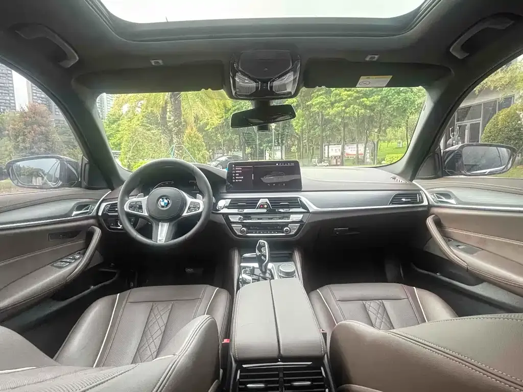 BMW 5 Series 2021 из CN, фото 9