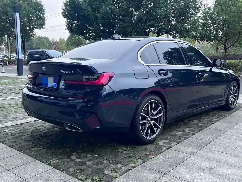 BMW 3 Series 2021 из CN, фото 7