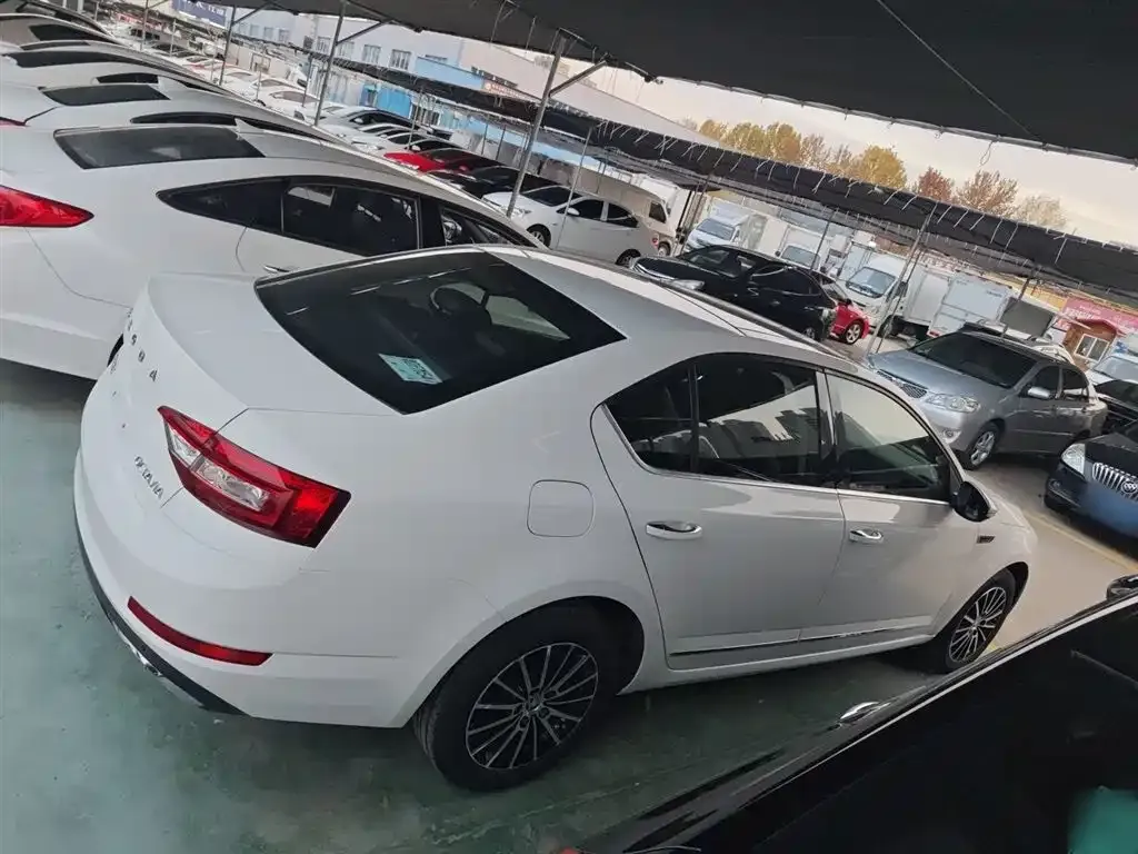Skoda Octavia 2021 из CN, фото 10