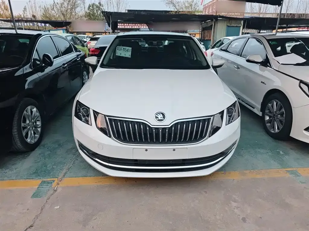 Skoda Octavia 2021 из CN, фото 4