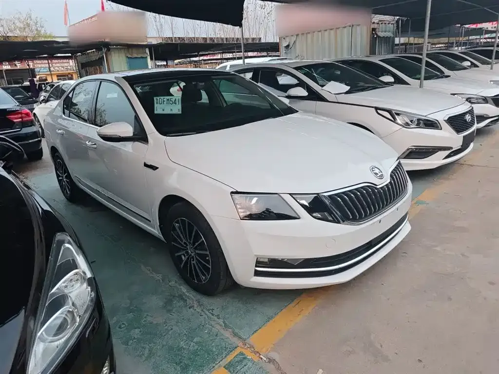 Skoda Octavia 2021 из CN, фото 5