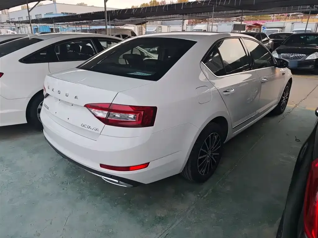 Skoda Octavia 2021 из CN, фото 6