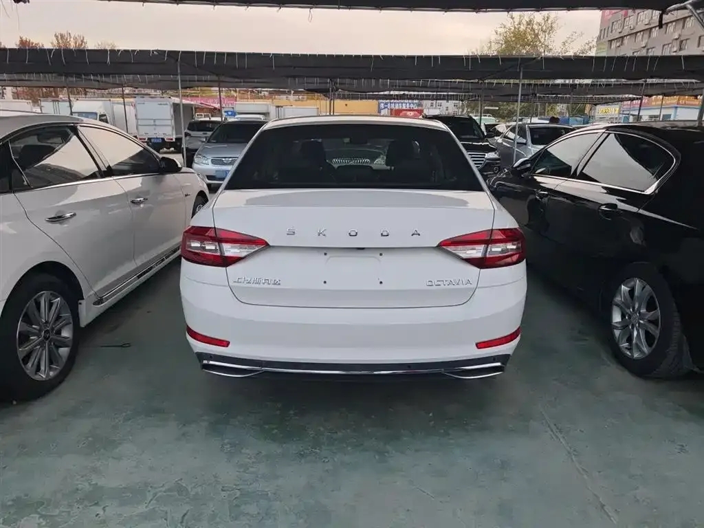 Skoda Octavia 2021 из CN, фото 7