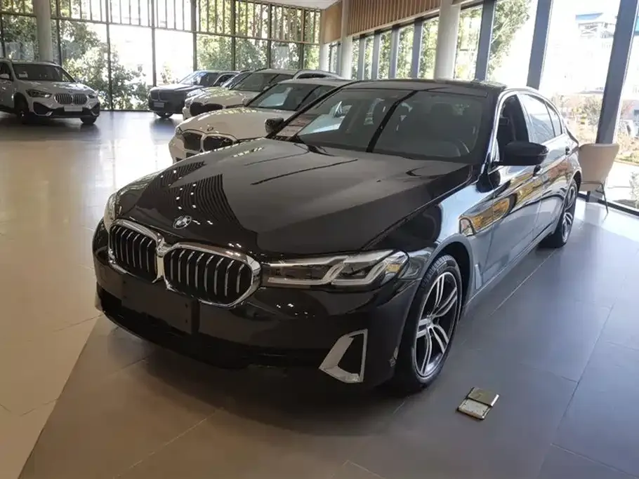 BMW 5 Series 2021 из CN, фото 1